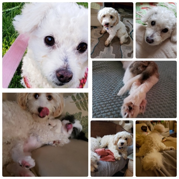 Meet your Posher, Michelle - Picture 2 of 8